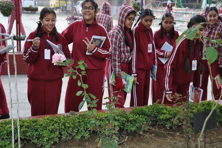 Carmel Convent School-Plantation