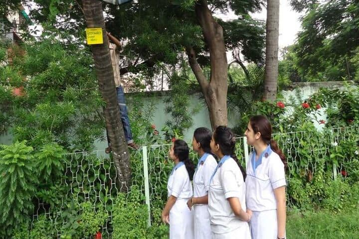 St Johns Diocesan Girls Higher Secondary School-Garden