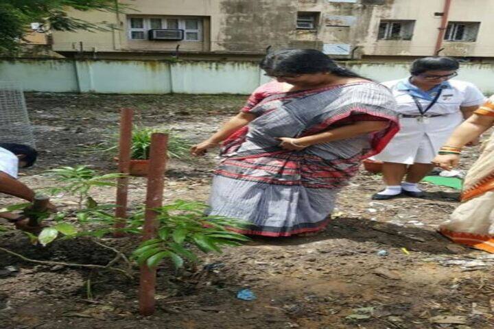 St Johns Diocesan Girls Higher Secondary School-Planting Tree