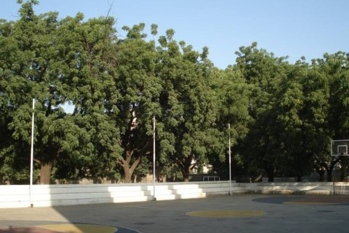 St Xaviers High School-Play Ground