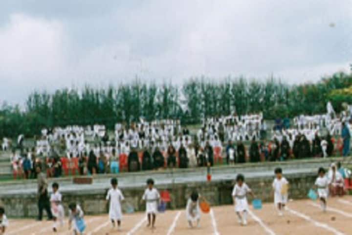 AI-Ameen Primary and High School-Sports Day Celebration