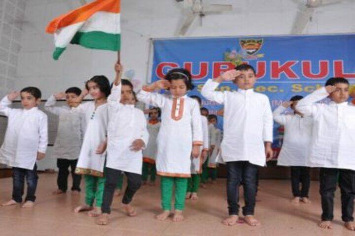 Gurukul Public Senior Secondary School-Independance Day
