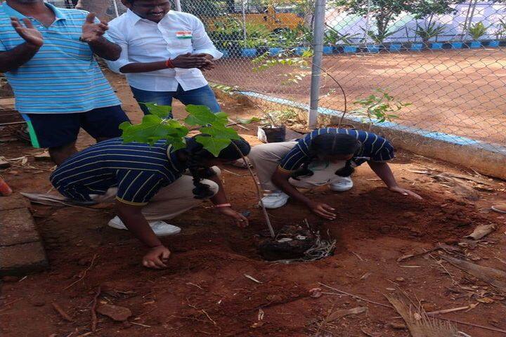 Annai Violet Matriculation School and Higher Secondary School-Plantation
