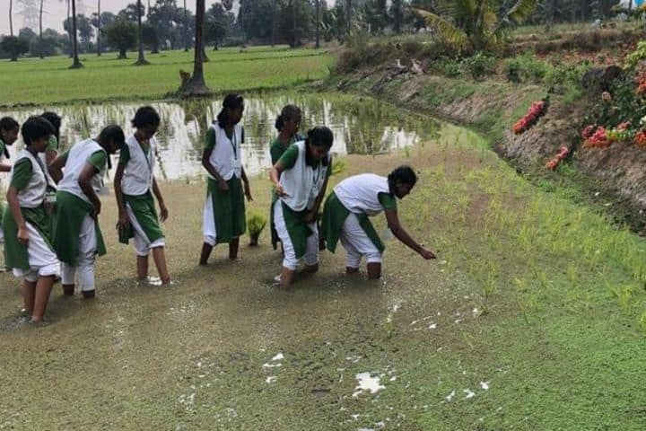 Vana Vani Matriculation Higher Secondary School-Field Trip