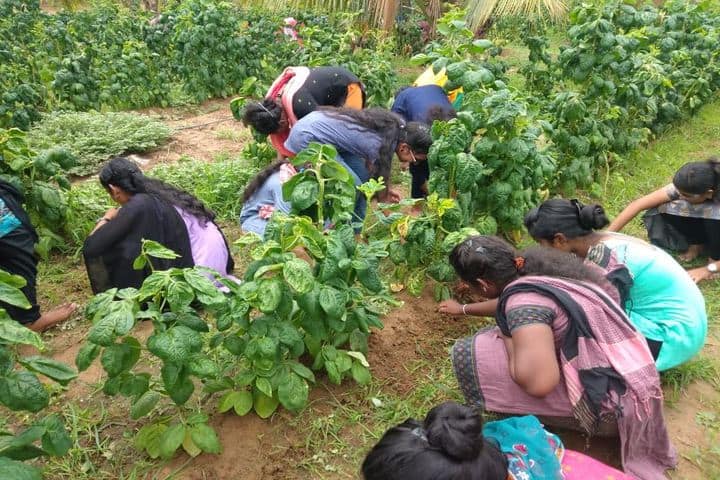 Christ King Girls Higher Secondary School-Field Trip