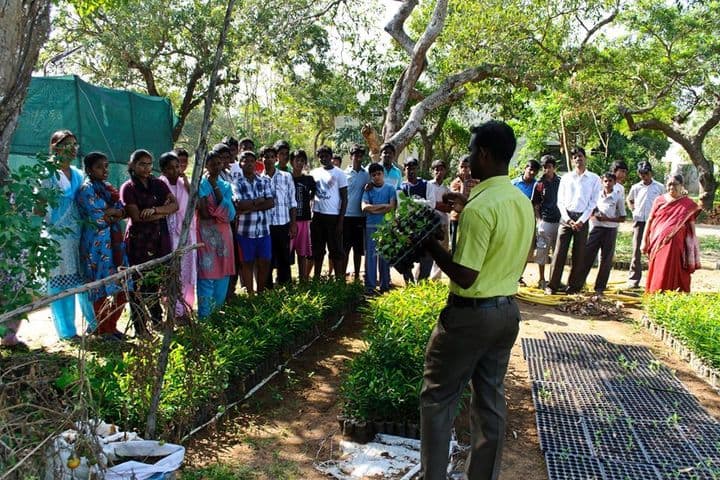 Geetha Matriculation Higher Secondary School-Tree Plantation