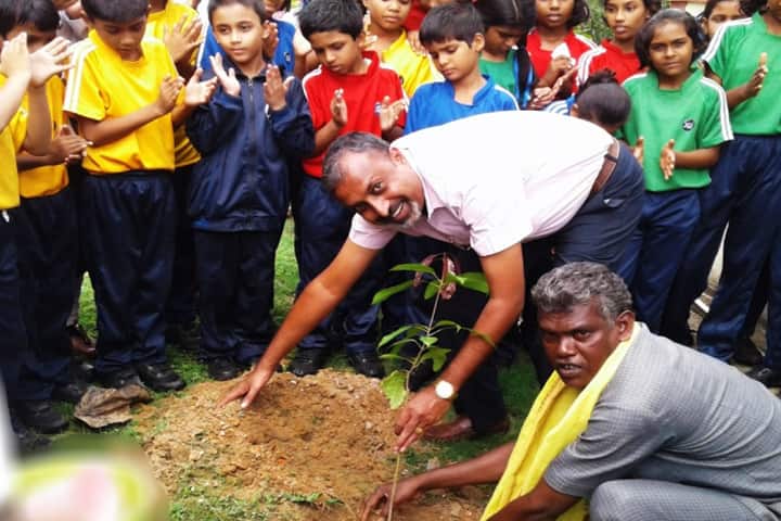 Jain Public School Korba-Tree-Plantation