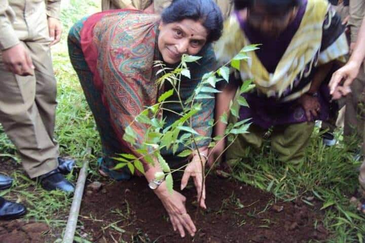 Holy Cross Convent High School-Tree Plantation