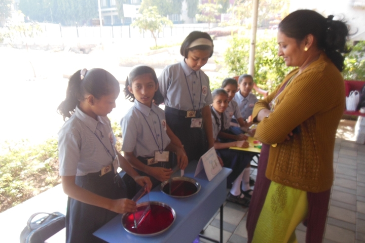 Smt Radhabai Shinde English Medium School-Activity