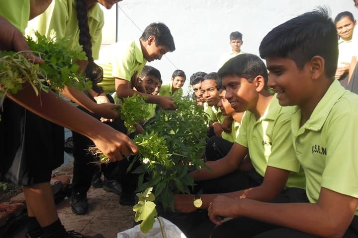 Smt Radhabai Shinde English Medium School-Plantation