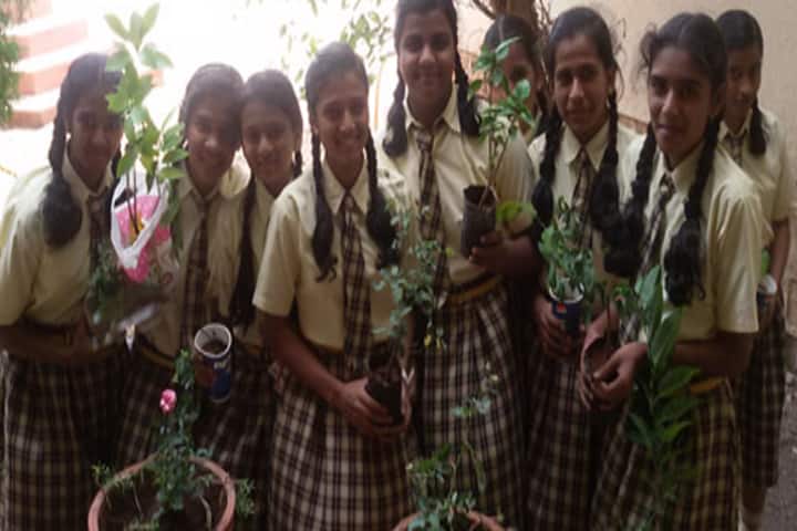 Shankarrao Mohite- Patil English School and Junior College-Plantation