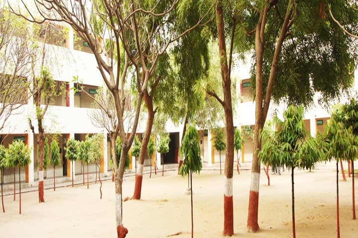 Fertilizer Nagar School-Play Ground
