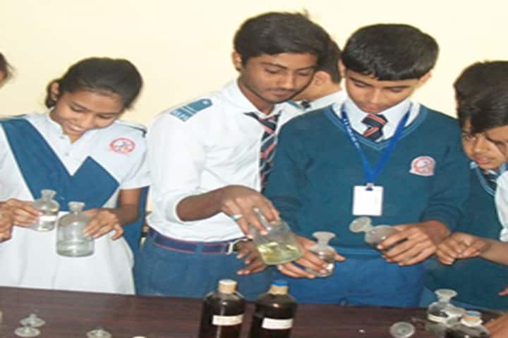 R K Public Senior Secondary School-Chemistry-Lab