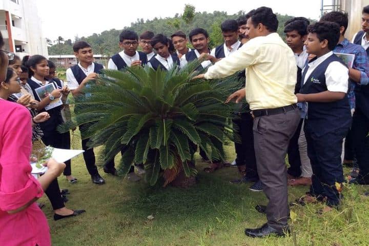 Pana PU College-Tree Plantation