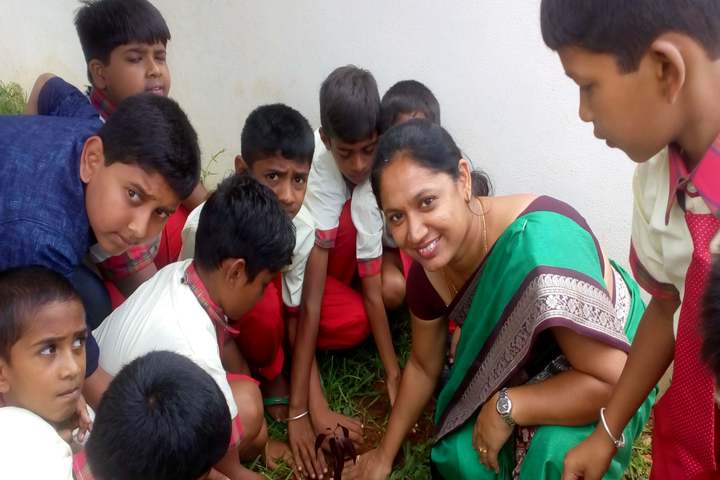 Kodagu Model School-Tree plantation