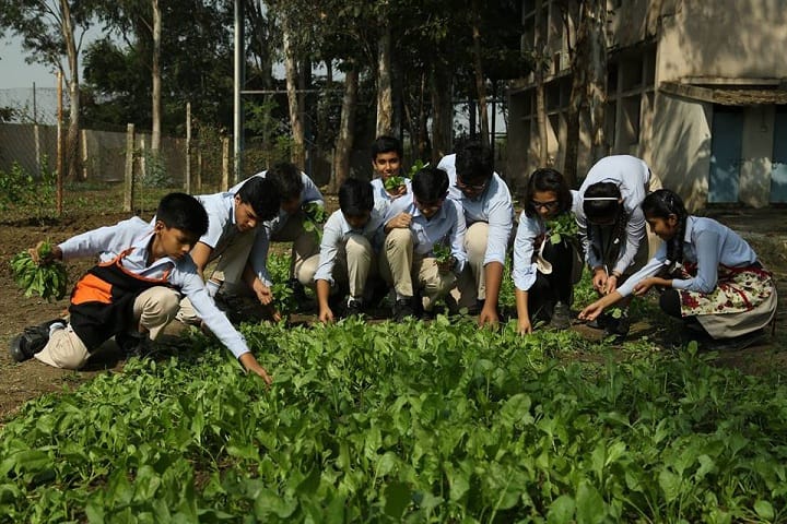 Kaanger Valley Academy-tree plantation