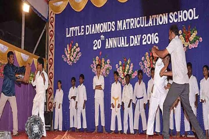 Little Diamond Matriculation School-Annual Day