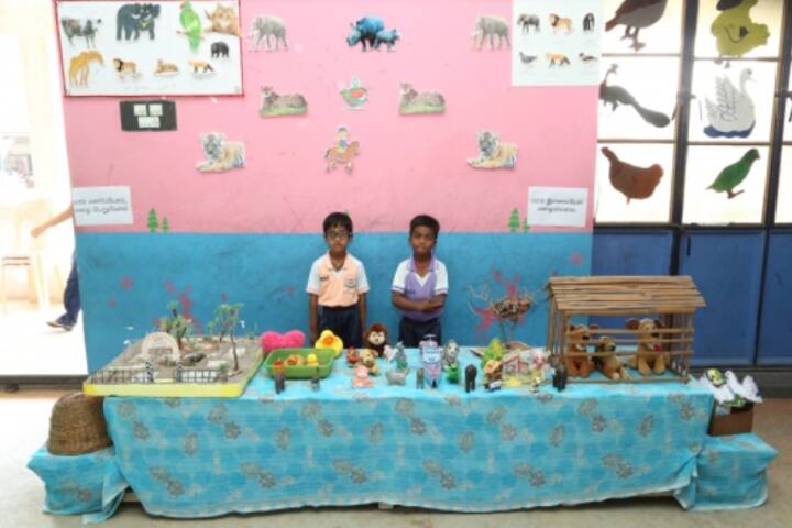 N S Matriculation School-School Exhibition