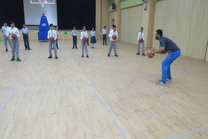 Amity International School-Basket Ball Court