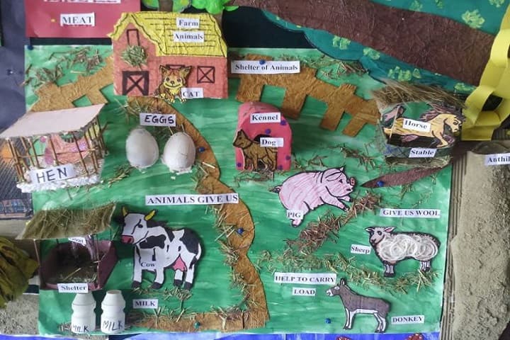 Delhi Public School-Exhibition