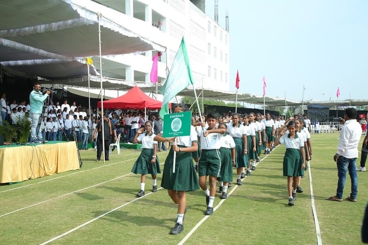 Delhi Public School-March Past