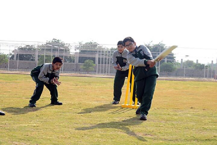 Delhi Public World School-Cricket