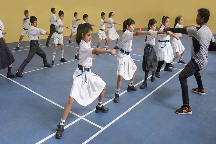 Delhi Public World School-Karate