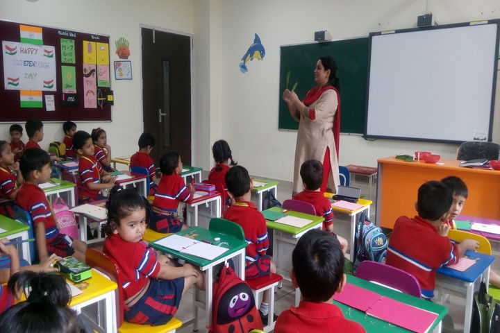 Class Info  DharamsalaTC