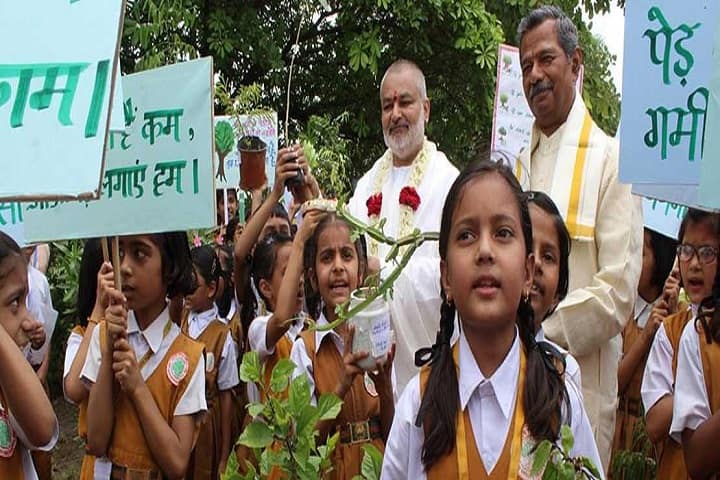 Maharishi Vidya Mandir-Plantation