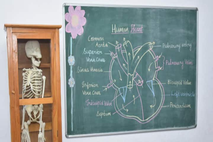 Chellammal Matric Higher Secondary School-Biology Lab
