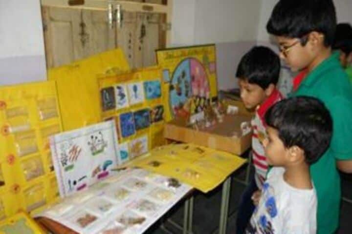Montfort School-Science Exhibition