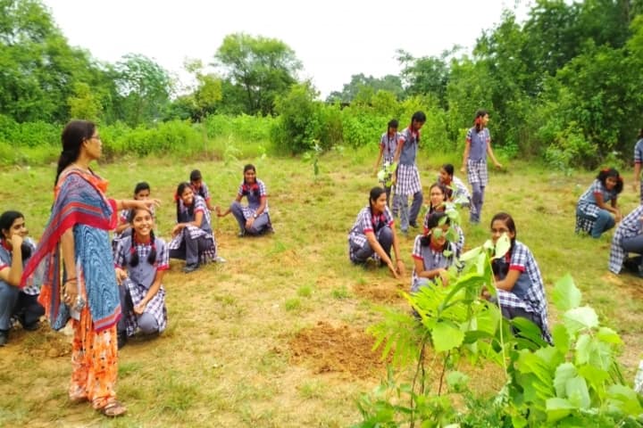 Kendriya Vidyalaya Raigarh-Tree plantation