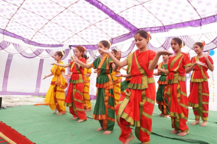 DAV Senior Secondary Public School-Cultural Dance