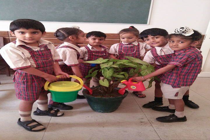 Lala Jagat Narain DAV Public School-Watering Plant