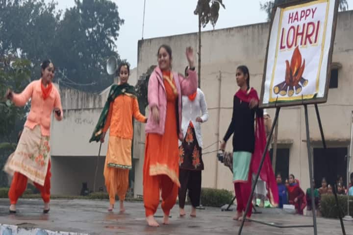 BBD DAV Public Senior Secondary School-Festival Celebration