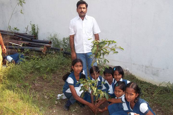 Angel School And Emmi Junior College-Plantation
