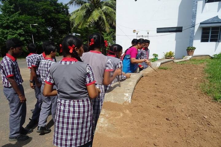 Kendriya Vidyalaya - Plantation Program