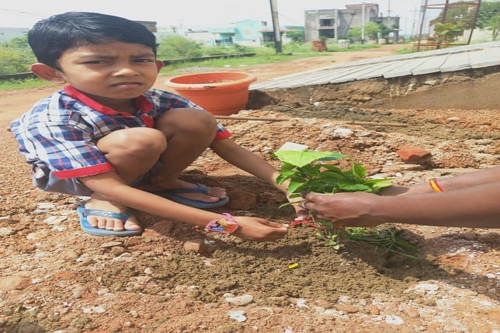 Kendriya Vidyalaya-Plantation