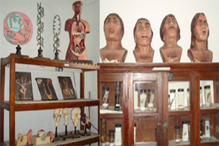 Noble College-Zoology Lab