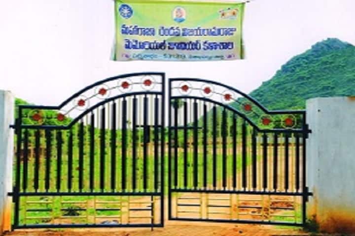 Maharaja Vijaya Rama Rajuii Memorial Junior College-Campus Entrances