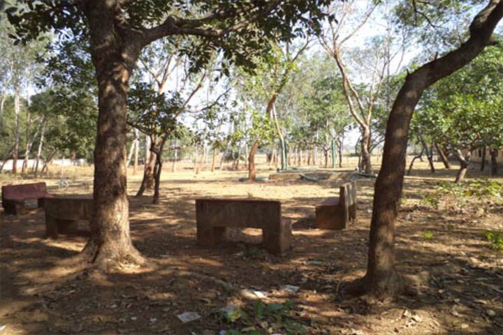 Nilgiri College-College Garden