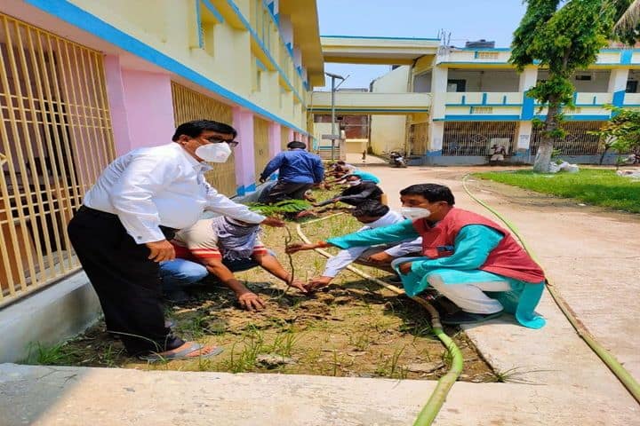 Kunwar Singh College-Tree Plantation