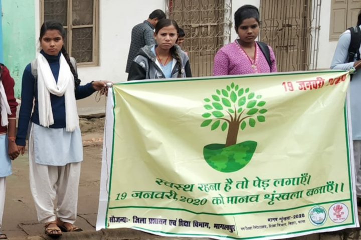 Government Intermediate Zila School- Tree Plantation Activity