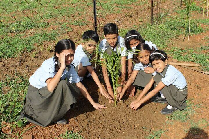 Mansarowar Vidyalaya-tree plantation