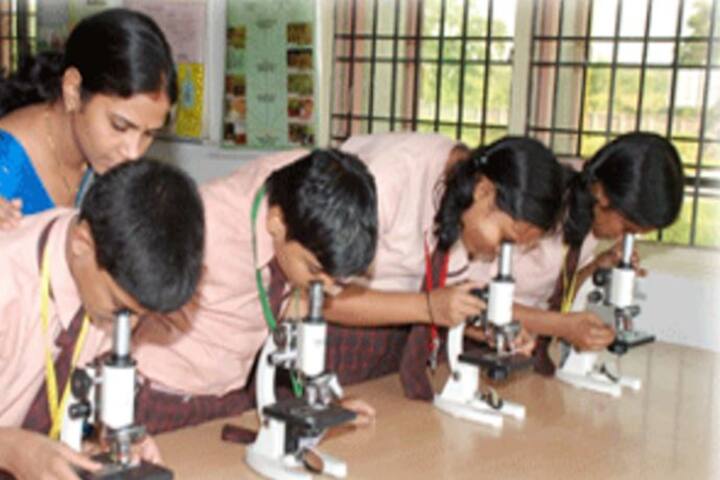Mintu International Public School-Lab1