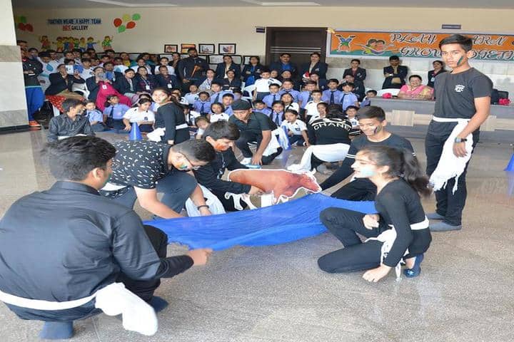 M M School-Activity