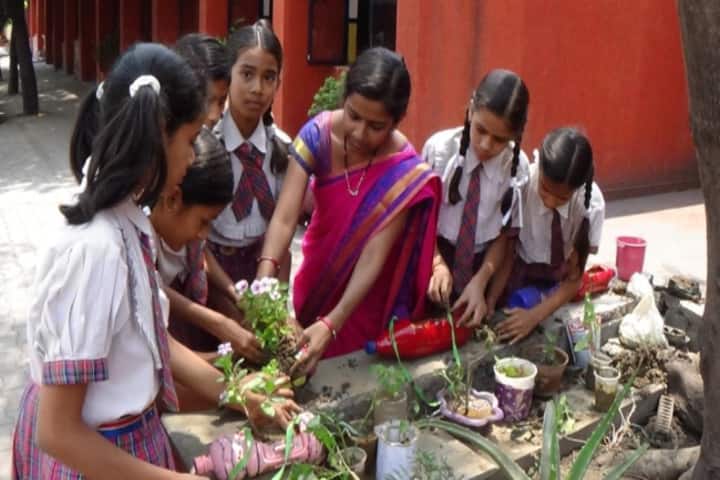Monnet DAV public school-tree plantation