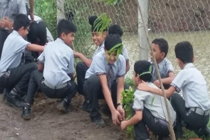Neeraj Bajpayee International School-Tree plantation