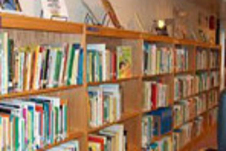 Dinanath Nabakishore Girls High School-Library