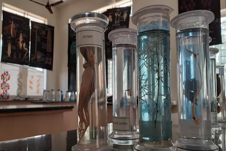 Vimala Hridaya Pre University College-Biology Laboratory